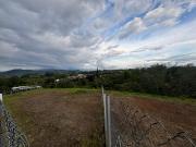 VENDO LOTE EN EL SECTOR VA ARMENIA COD