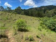 Vendo lote en Guarne Vereda Yolombal 7485 m2