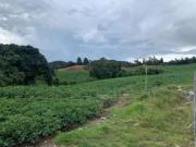 VENDO LOTE EN LA UNION DE 3HA