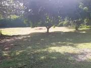 VENDO LOTE EN LA VA DE SAN JERÓNIMO A SANTA FE DE...