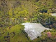 VENDO LOTE EN OVEJAS, SECTOR HORABUENA, DE SAN VICENTE