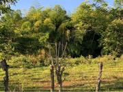 Vendo lote Potrerito Jamundí Valle del Cauca
