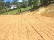 Vendo Lote Rionegro
