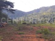 VENDO LOTE SECTOR LA VORAGINE PANCE