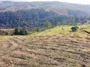 VENDO MEU TERRENO EM IBIUNA 35.000 DIRETO COM O PROPRIETÁRIO