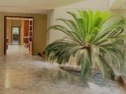 Vendo o alquilo casa en calle Jirón Francisco Cuellar 3,...