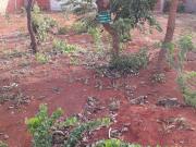 Vendo Ótimo Terreno no Condomínio Estância Quintas Da...