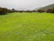 VENDO PARCELA 10.000 MTS EXCELENTE UBICACION CURACAVI