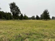 Vendo parcela 2 hectáreas a 31 kms de Osorno