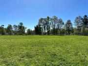 Vendo parcela 5.000 m2 independiente San Florentino,...