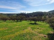 Vendo parcela a 15 minutos ruta 68 Orozco, Los Molles