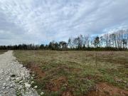 Vendo Parcela Aguas Negras, Paillaco