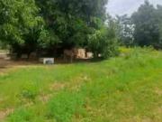 Vendo Parcela de una hectaria y media con galpon sector...