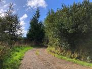 Vendo parcela en sector El Rebellin a 15 min de Valdivia