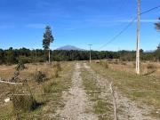 VENDO PARCELA LOTEO LOS ULMOS I Y II PTO VARAS