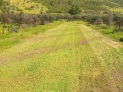 vendo parcelas en condominio urbanizado, los Maquis,...