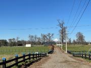 Vendo Parcelas Loteo El Estero A 18 Kms De Osorno