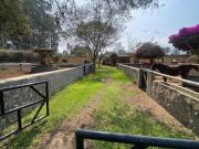 VENDO PRECIOSO Y ÚNICO FUNDO EN PACHACAMAC