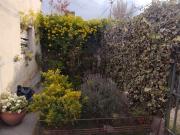 Vendo propiedad casa San Rafael
