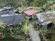 Vendo propiedad con dos negocios en Pereira