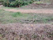 Vendo Quinta de 5000 m2 en Puerto Quito