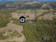 Vendo sítio em Santana da Boa Vista 54 hectares