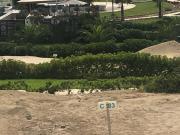 Vendo súper terreno en Playa Coral de 224m2, Asia $75,000