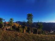 Vendo terreno 1280 m2 La Lagunita