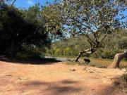 VENDO TERRENO 15 MIL DE ENTRADA E PARCELO O RESTANTE EM...