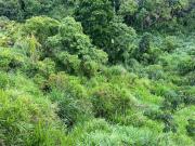 Vendo Terreno, 1.905 m2, La Unión
