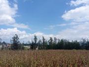 Vendo Terreno 200m