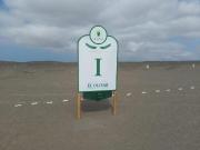 VENDO TERRENO 300M2 EN CONDOMINIO EL OLIVAR CAÑETE A...