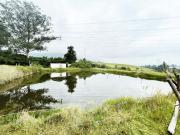 VENDO TERRENO AGRÍCOLA EN EL INGA PIFO
