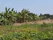 VENDO TERRENO AGRICOLA EN EX HACIENDA LA HUACA HUARAL
