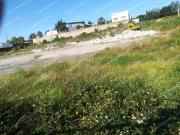 Vendo Terreno con uso de suelo mixto de 17,500m2 en Av....