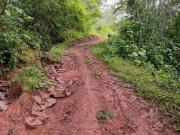 Vendo Terreno De 33 Hectáreas En Villa Rica Oxapampa