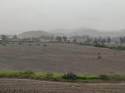 Vendo terreno de 35 hectáreas en Pachacamac $ 75 dólares...