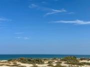VENDO TERRENO 3.8 HA FRENTE AL MAR EN VICHAYITO SUR, LOS...