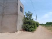 VENDO TERRENO DE 4.5 HECTAREAS CACHICHE ICA