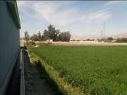 Vendo terreno de 500m2 en alto la villa Moquegua