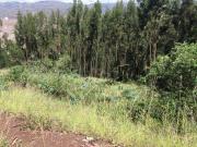 VENDO TERRENO DE CAMPO CON HERMOSAS VISTAS. 1638M2. USD...