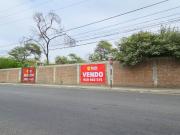 VENDO TERRENO EN AV. TALLANES, SAN EDUARDO PIURA