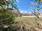 Vendo Terreno en Huánuco – Andabamba – Pilcomarca...