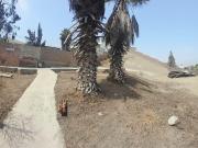 Vendo terreno en La Molina de 1,158 M2, con excelente...