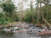 VENDO TERRENO EN LA PITAYA