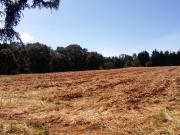 VENDO TERRENO EN LOMA DE LA HACIENDA VILLA DEL CARBON