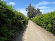 VENDO TERRENO EN MALA, LUMBRERAS