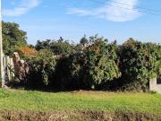 VENDO TERRENO EN NECOCHEA