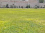 VENDO TERRENO EN PACHACAMAC PARA EVENTOS O CASA DE CAMPO