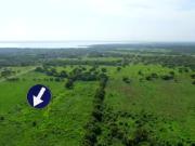 VENDO TERRENO EN PASO DEL TORO